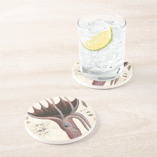 Paraplu inktvis,  zeedieren zandsteen onderzetter (Zijkant)