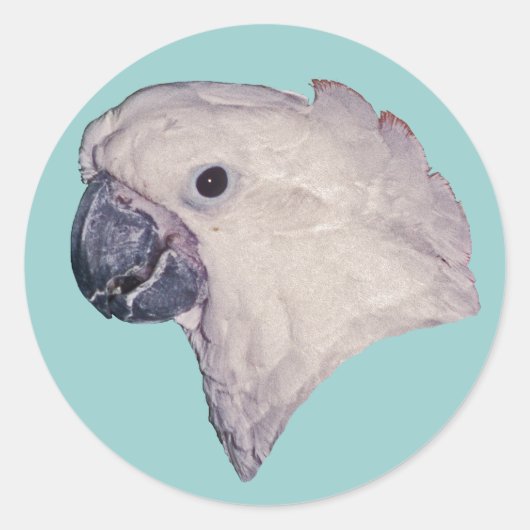 paraplu kaketoe ronde sticker (Voorkant)