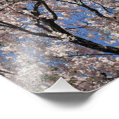 Paraplu van de lente bloesems foto afdruk (Hoek)