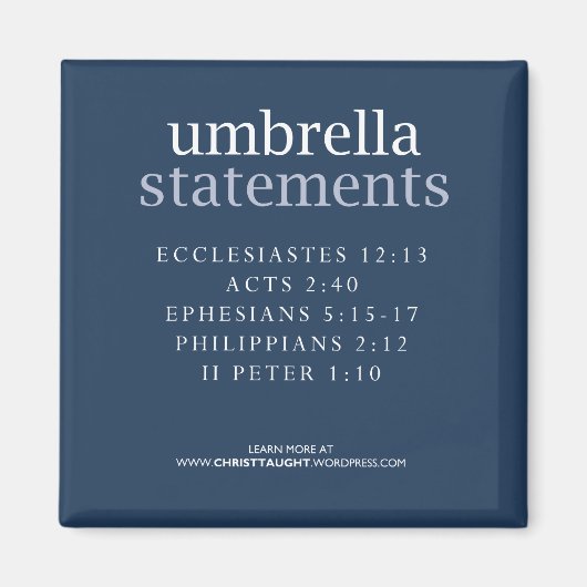 Paraplu verklaringen magneet (Voorkant)