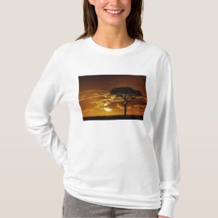 Parapluidoorn Acacia, Acacia tortilis, T-shirt