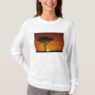 Parapluisdoring Acacia, Acacia tortilis, T-shirt