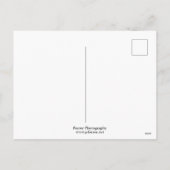 Paraplu's boven San Juan Streets en Mansion Holid Feestdagenkaart (Achterkant)