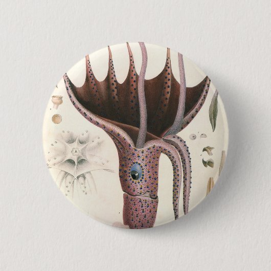 Parapluu Inktvissen, Dierillustraties uit de Werel Ronde Button 5,7 Cm (Voorkant)