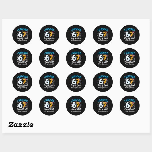 Paraprofessional Survived 67 Days Of School Humor  Ronde Sticker (Vel)