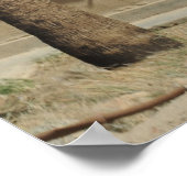 Pararescue Jumper Poster (Hoek)