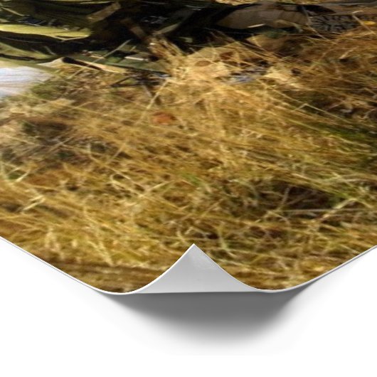 Pararescue Jumpers Poster (Hoek)