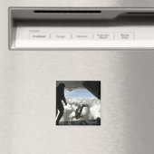 Pararescuemenspringen uit de achterkant van een C- Magneet (Insitu (Vaatwasser))