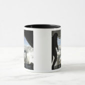 Pararescuemenspringen uit de achterkant van een C- Mok (Midden)