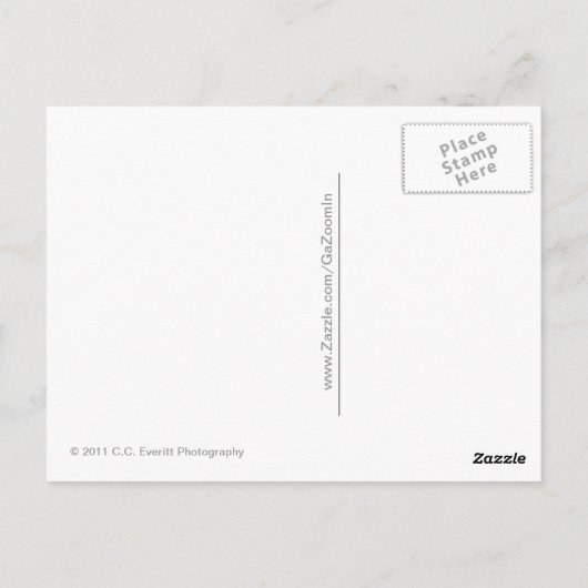 Parasailing Love Briefkaart (Achterkant)