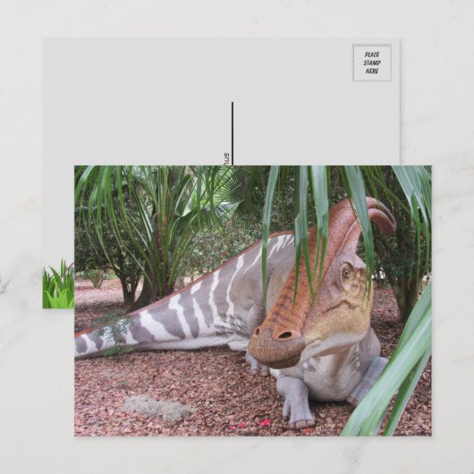 Parasaurolophus - Dinosaur - Briefkaart (Voorkant / Achterkant)