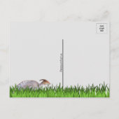 Parasaurolophus - Dinosaur - Briefkaart (Achterkant)