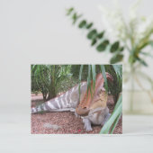 Parasaurolophus - Dinosaur - Briefkaart (Staand voorkant)