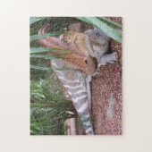 Parasaurolophus Dinosaur - Puzzle Legpuzzel (Verticaal)