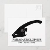 Parasaurolophus Skull Briefkaart (Voorkant / Achterkant)