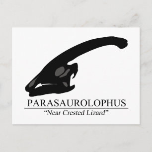 Parasaurolophus Skull Briefkaart