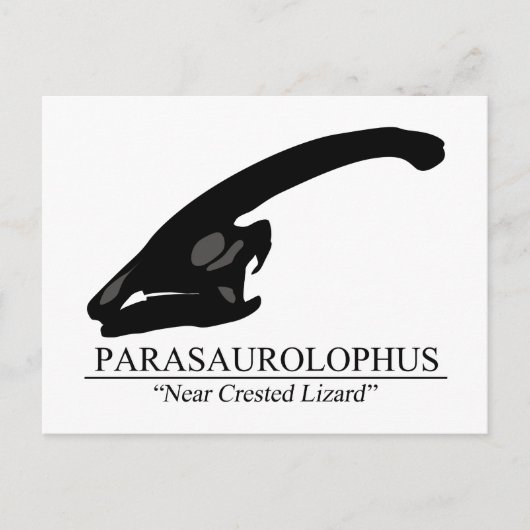 Parasaurolophus Skull Briefkaart (Voorkant)
