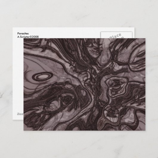 Parasieten Briefkaart (Voorkant / Achterkant)