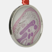 Parasitaire nematode worm (Ascaris sp.) Metalen Ornament (Rechts)
