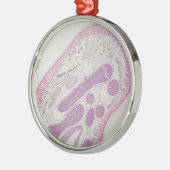 Parasitaire nematode worm (Ascaris sp.) Metalen Ornament (Links)