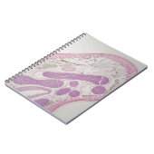 Parasitaire nematode worm (Ascaris sp.) Notitieboek (Linkerzijde)