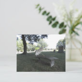 Parasol Briefkaart (Staand voorkant)