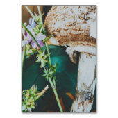 Parasol mushroom, Swedish Archipelago, Sweden Kaart (Achterkant)