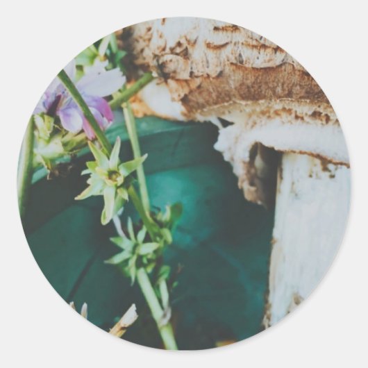 Parasol mushroom, Swedish Archipelago, Sweden Ronde Sticker (Voorkant)