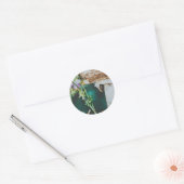 Parasol mushroom, Swedish Archipelago, Sweden Ronde Sticker (Envelop)