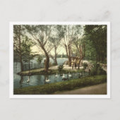 Parc de la Tête d'Or, Lyon, Frankrijk Briefkaart (Voorkant)