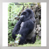 Parc National des Volcans, Hirwa Group Poster (Voorkant)