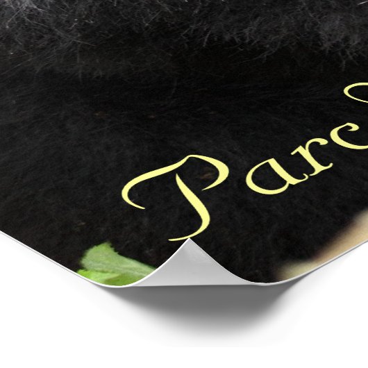 Parc National des Volcans, Kwitonda G.. Poster (Hoek)