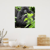 Parc National des Volcans, Kwitonda G.. Poster (Keuken)