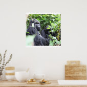 Parc National des Volcans, Kwitonda Group Poster (Keuken)