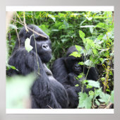 Parc National des Volcans, Kwitonda Group Poster (Voorkant)