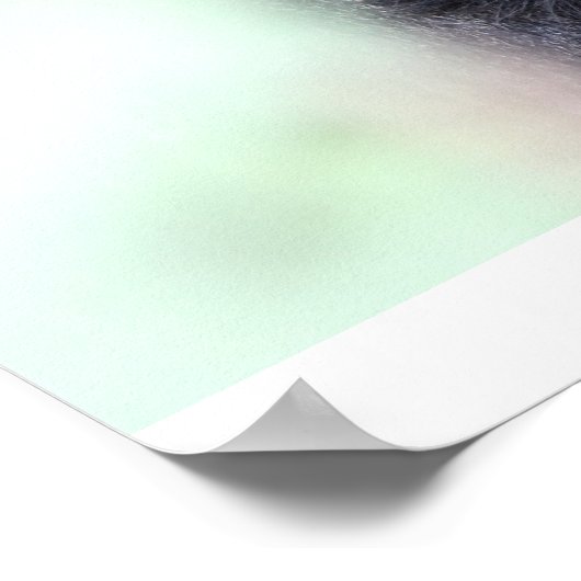 Parc National des Volcans, Kwitonda Group Poster (Hoek)