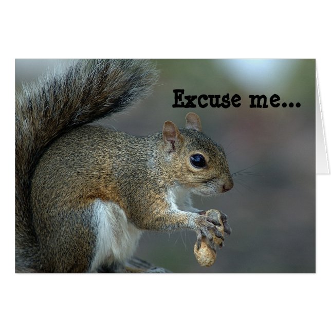 Pardon...De feeder is EMPTY. (Voorkant Horizontaal)