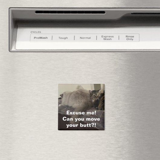 Pardon? Kun je je kont verplaatsen?! Magneet (Insitu (Vaatwasser))