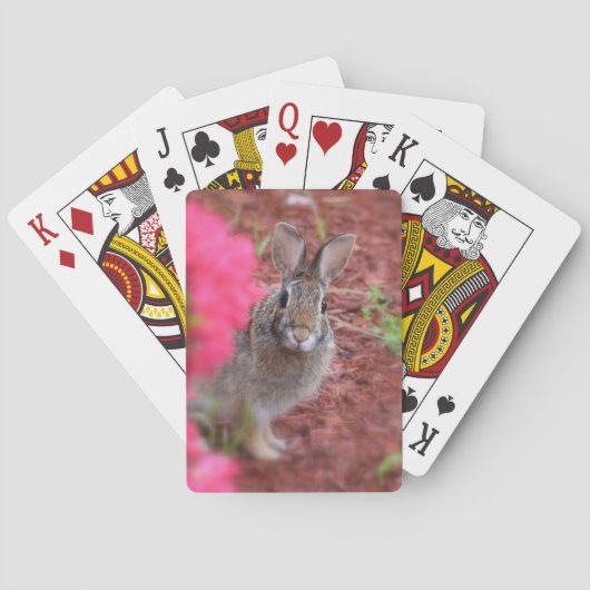 Pardon Me Bunny-speelkaarten Pokerkaarten (Achterkant)