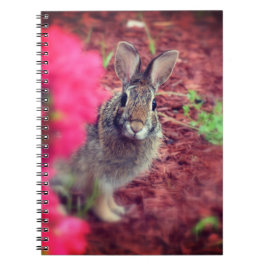 Pardon Me Bunny Spiral Journal Notitieboek