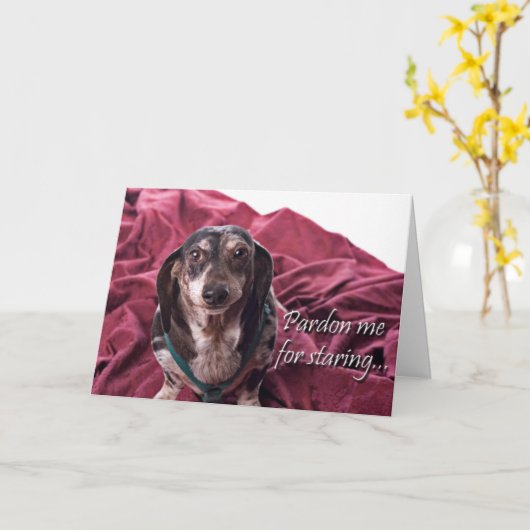 Pardon Me For Staring - Dachsund Verjaardag Kaart (Gele Bloem)
