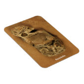 Pareidolia Magneet (Rechterzijde)