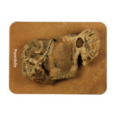 Pareidolia Magneet (Horizontaal)