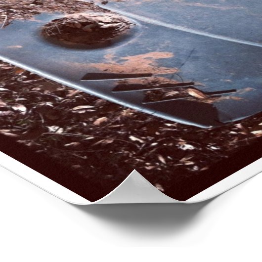 Pareidolia Trilogy poster (Hoek)