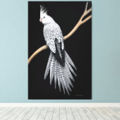 Parel Pied Cockatiel Parrot Verpakt Canvas (Insitu (Houten vloer))