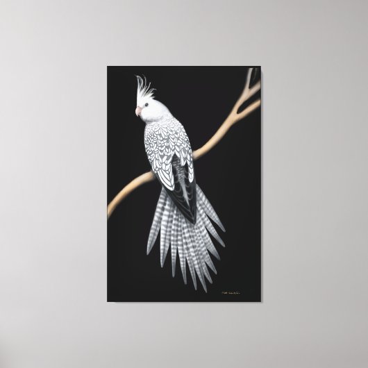 Parel Pied Cockatiel Parrot Verpakt Canvas Afdruk (Voorkant)