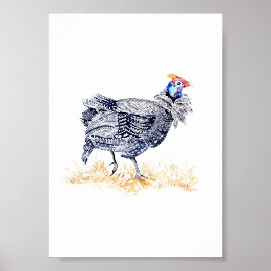Parelhoen Poster (Voorkant)