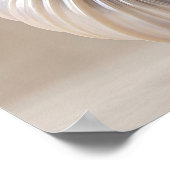 Parelmoer Spiraal Schelp Luxe Canvas Print (Hoek)