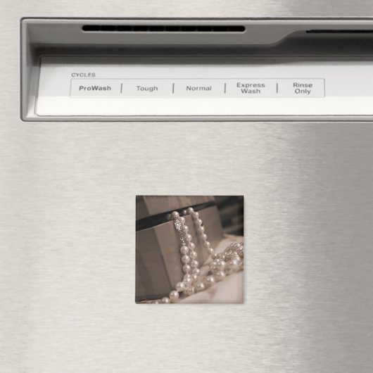 Parels Magneet (Insitu (Vaatwasser))