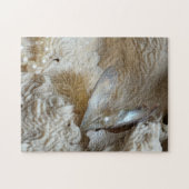 Parels, Oester en Zee Koraal Fotografisch Legpuzzel (Horizontaal)